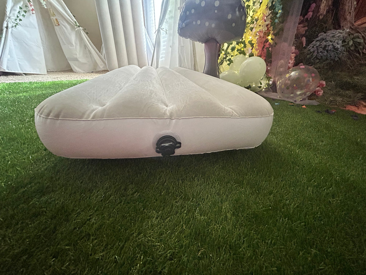 Twin Air Mattresses