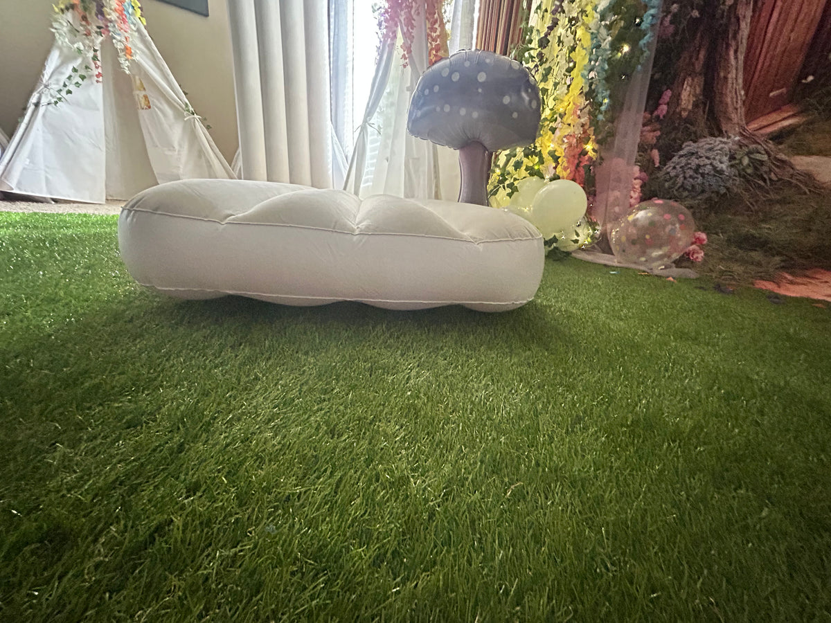 Twin Air Mattresses